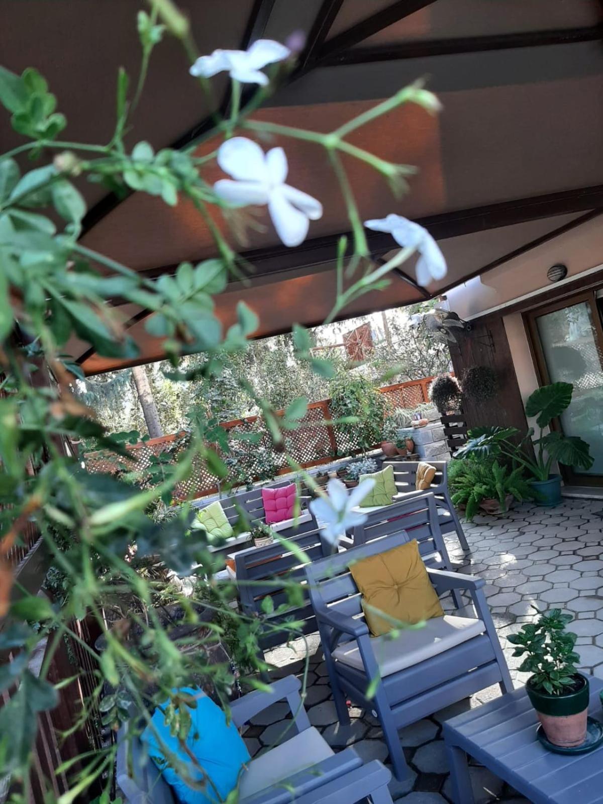 Denge Homes Nicosia Exterior foto
